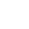 ico3
