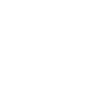 ico4